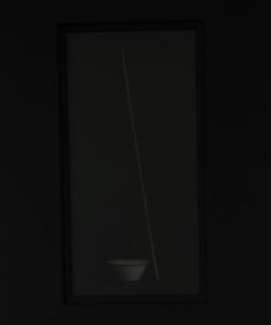 Oscurità silente, 2017