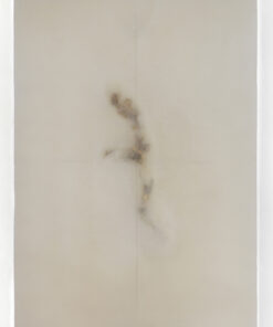 Dentro (II)