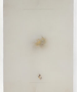 Dentro (III)