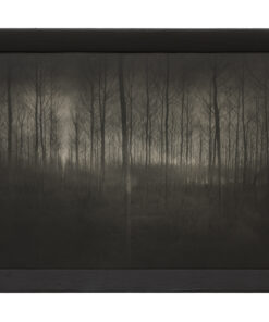 Silenzio di luce, 2007